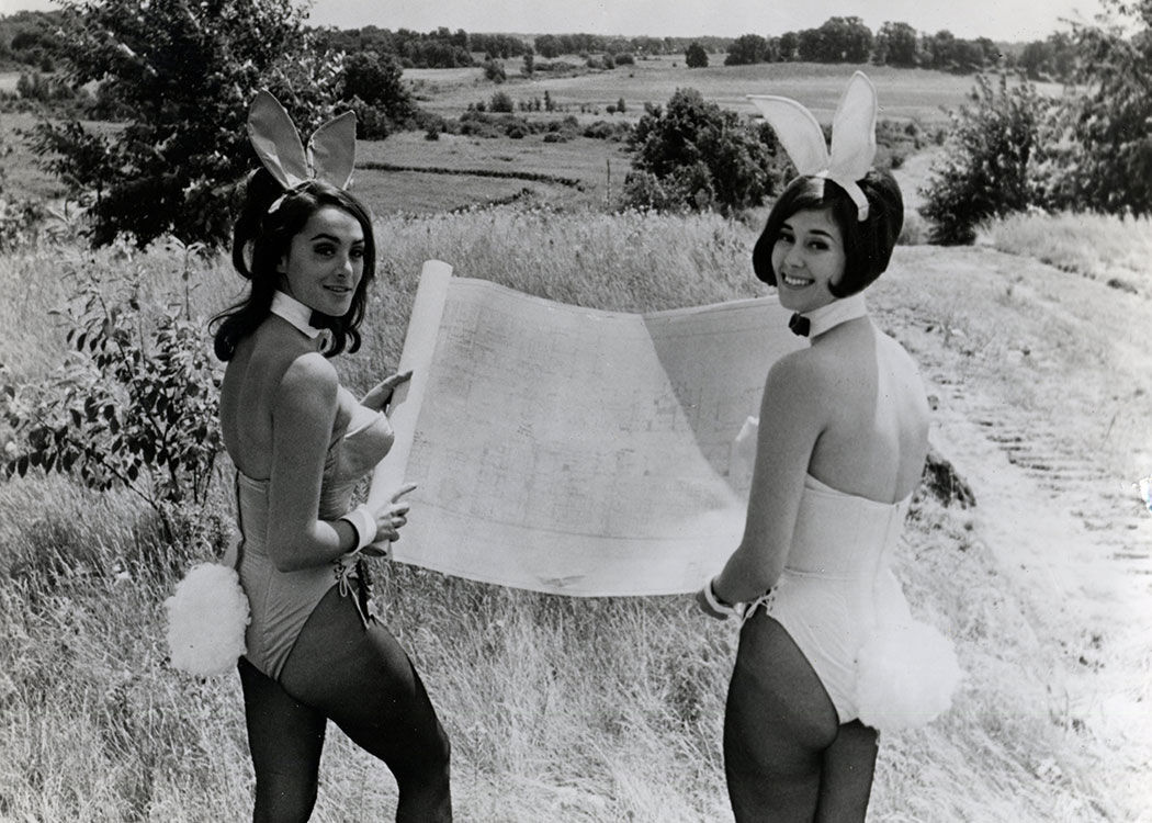 Bunnies